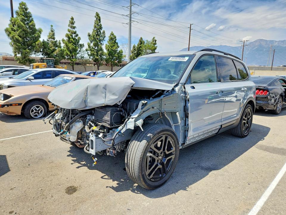 2024 Kia Telluride VIN 5XYP5DGC5RG504087 — COPART salvage auction photo