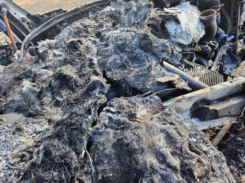 2020 Kenworth T680 VIN 1XKYDP9X9LJ359009 COPART salvage auction — BURN, LA - CERT OF TITLE-SALVAGE, sold $400 on 2026-10-08 (photo 8)