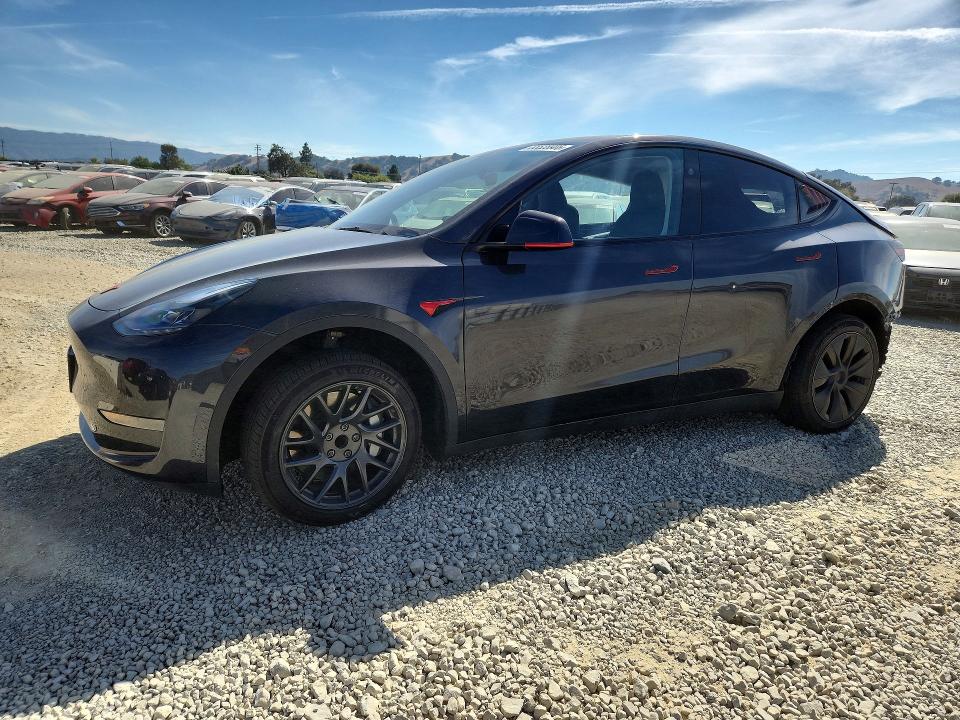 2025 Tesla Model y VIN 7SAYGDED1SF276373 — COPART salvage auction photo