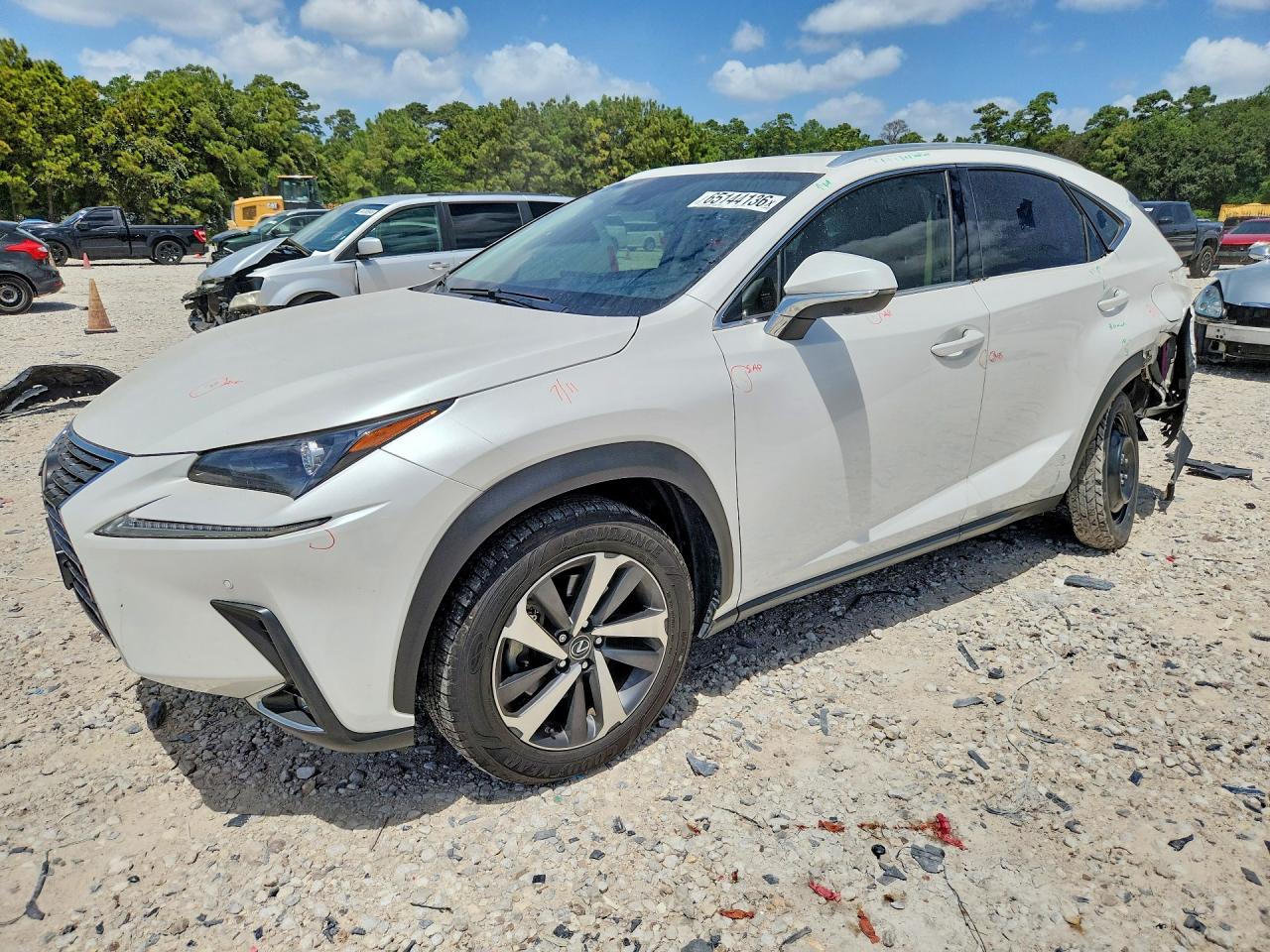 2020 Lexus NX 300 VIN JTJGARBZ8L2160533 — COPART salvage auction photo