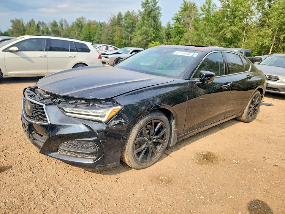 2021 Acura Tlx VIN 19UUB6F30MA801061 — COPART salvage auction photo