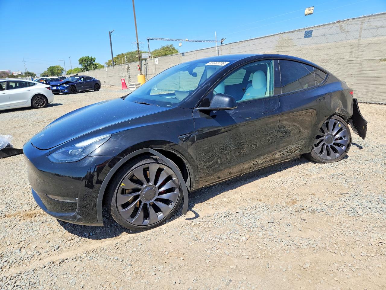 2024 Tesla Model Y VIN 7SAYGDEF8RF132993 — COPART salvage auction photo