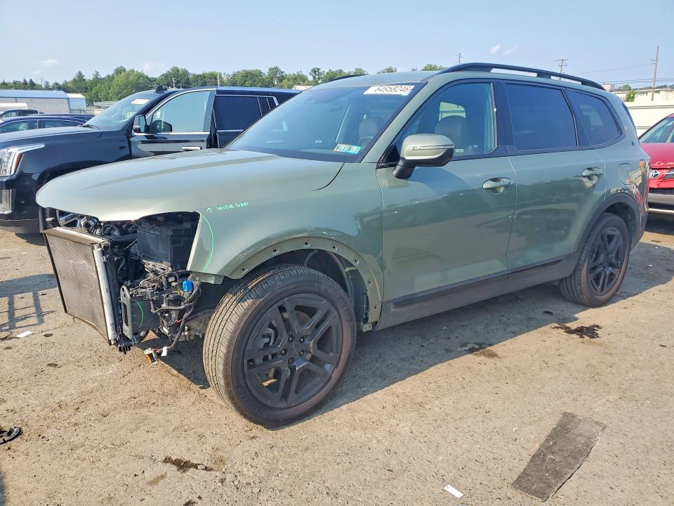 2025 Kia Telluride VIN 5XYP3DGC1SG640180 — COPART salvage auction photo