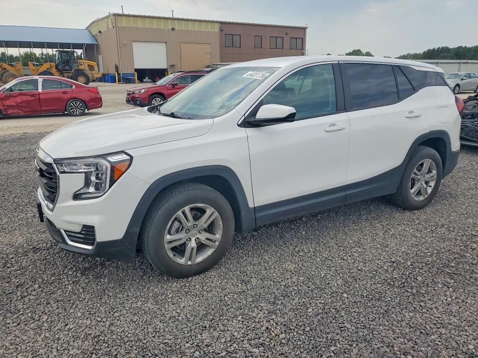 2024 Gmc Terrain VIN 3GKALTEG2RL313753 — COPART salvage auction photo