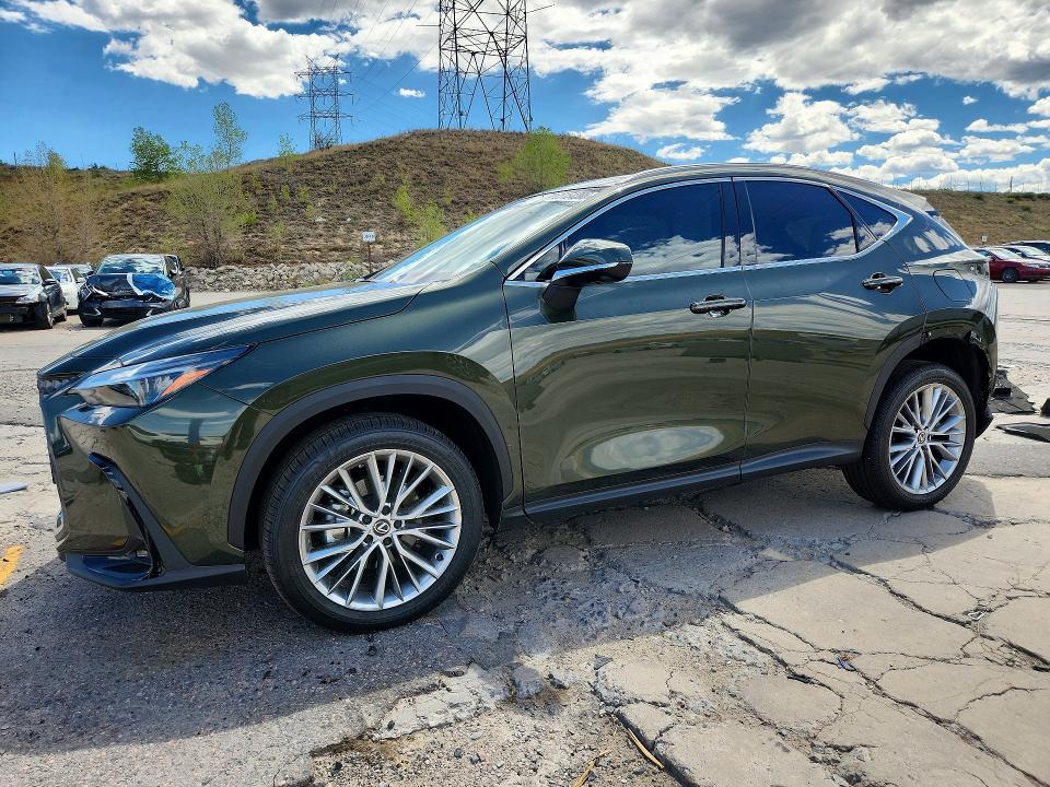 2025 Lexus Nx VIN 2T2HGCEZ2SC077352 — COPART salvage auction photo