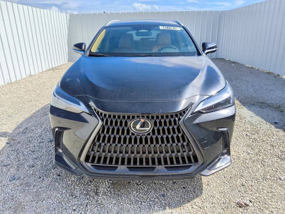 2025 Lexus Nx 250 VIN 2T2GDCAZ1SC025432 COPART salvage auction — SIDE, FL - CERTIFICATE OF TITLE, sold $27,000 on 2026-09-17 (photo 5)