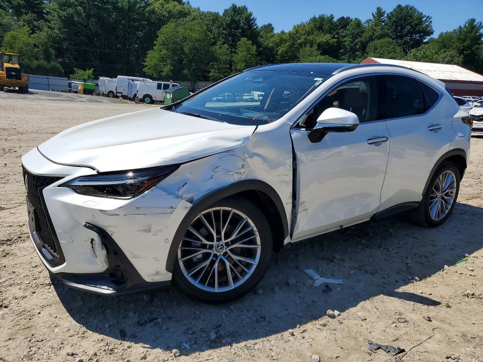 2024 Lexus NX 350h VIN JTJHKCEZXR2025668 — COPART salvage auction photo