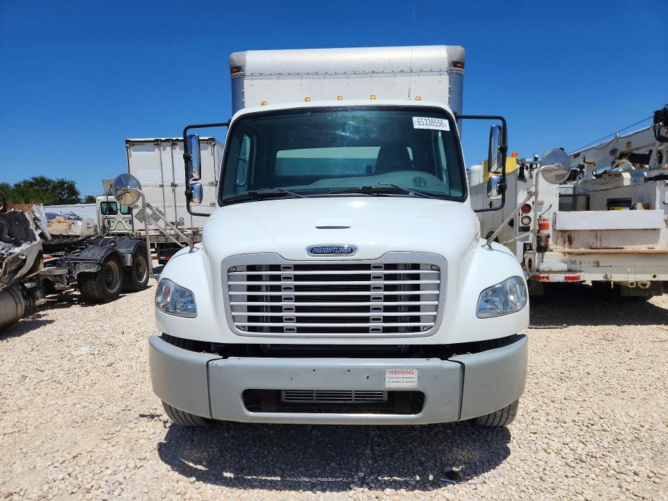 2019 Freightliner All other VIN 3ALACXFC9KDKT0981 COPART salvage auction — MINOR DENT/SCRATCHES, CT, sold $11,100 on 2026-09-01 (photo 5)