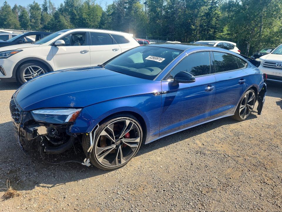 2025 Audi S5 VIN WAUB4CF51SA014727 — COPART salvage auction photo