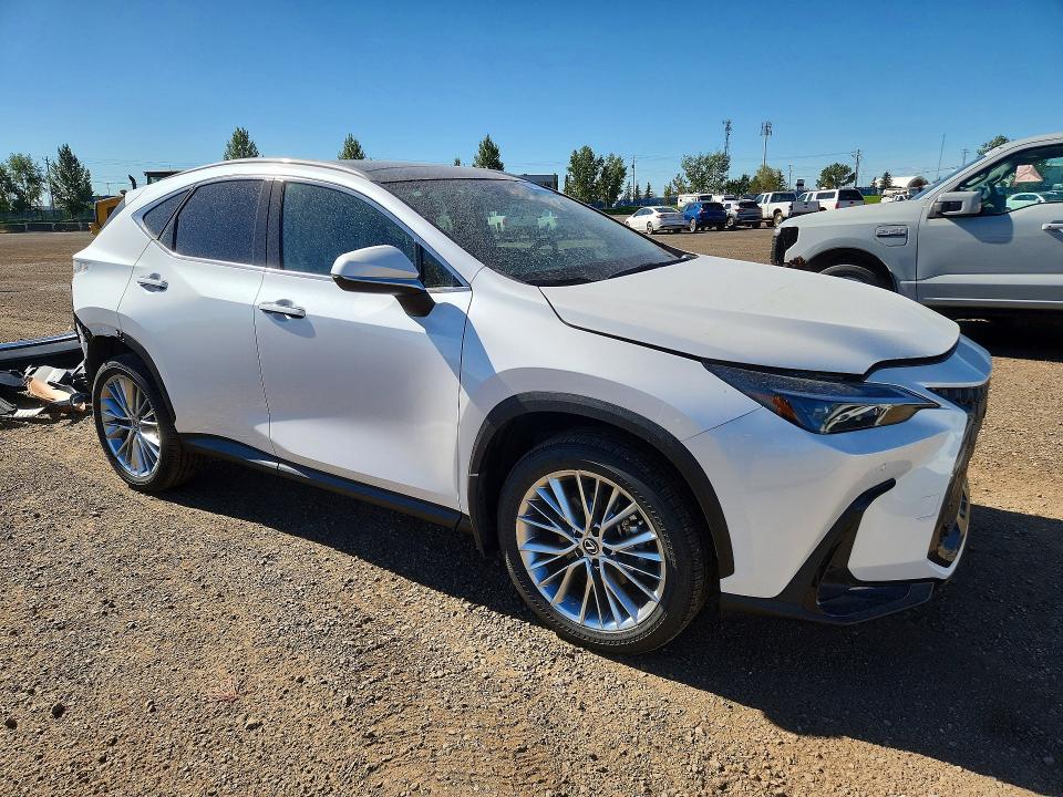 2025 Lexus Nx VIN 2T2GKCEZXSC032721 COPART salvage auction — REAR END, AB - BOS - SALVAGE, sold $28,000 on 2026-09-22 (photo 4)