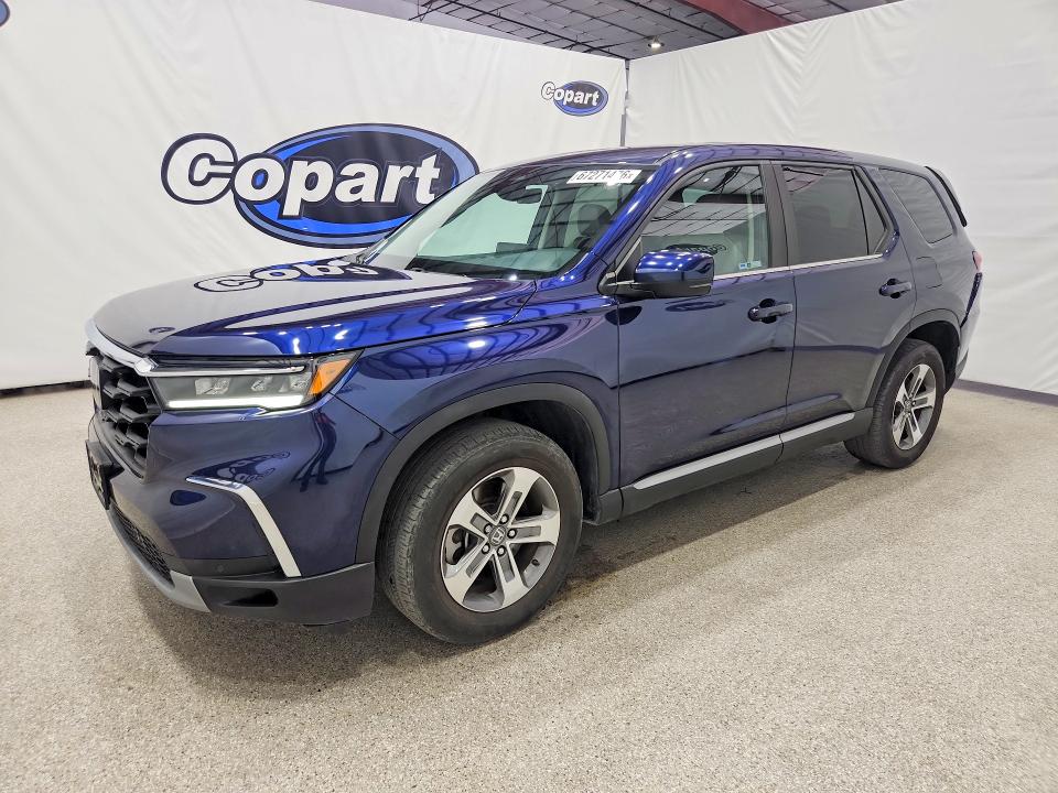 2024 Honda Pilot VIN 5FNYG2H56RB004465 — COPART salvage auction photo