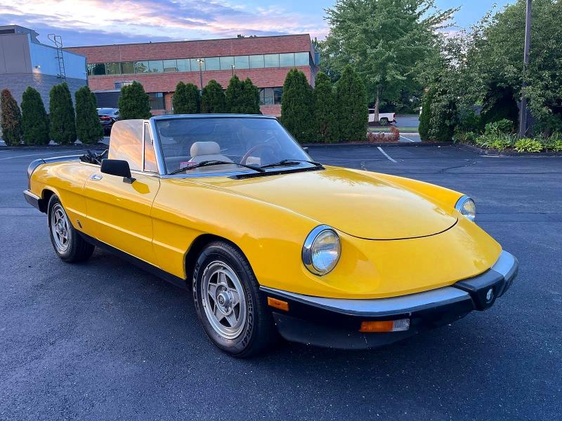 1983 Alfa romeo VIN ZARBA5419D1016838 COPART salvage auction — MINOR DENT/SCRATCHES, Ma - Certificate Of Title (P), sold $5,000 on 2026-09-03 (photo 4)