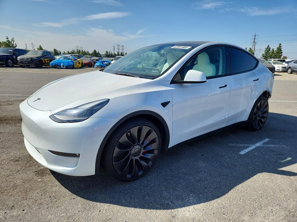 2024 Tesla Model y VIN 7SAYGDEF6RF113813 — COPART salvage auction photo