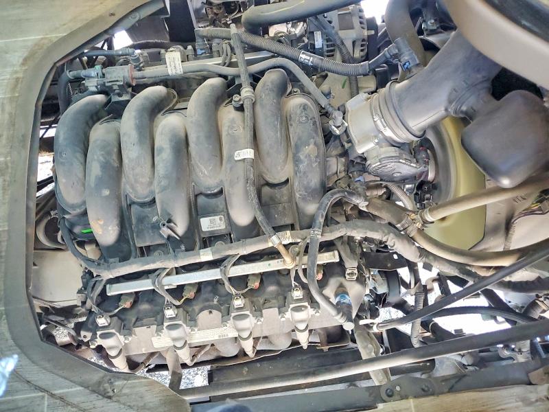 2020 Ford VIN 1F66F5DN2L0A15912 COPART salvage auction — FRONT END, Nc - Salvage Cert-Rebuilt, sold $59,000 on 2026-08-07 (photo 7)