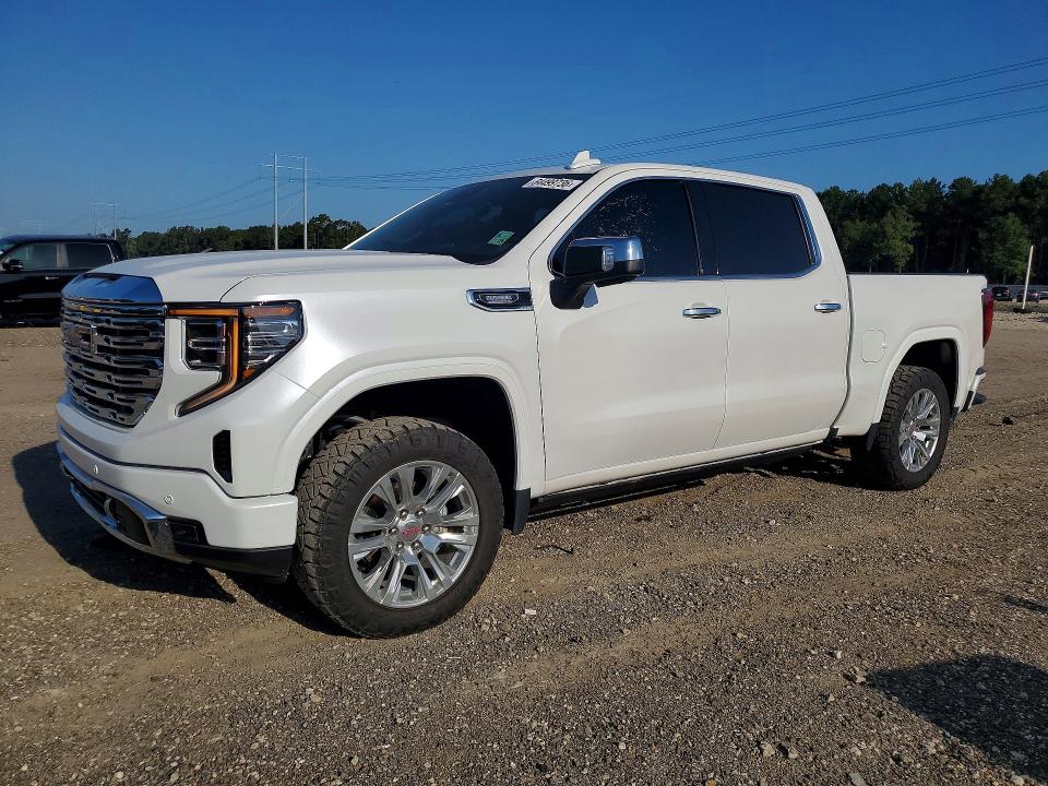2024 Gmc SIERRA VIN 3GTUUGE89RG205449 — COPART salvage auction photo