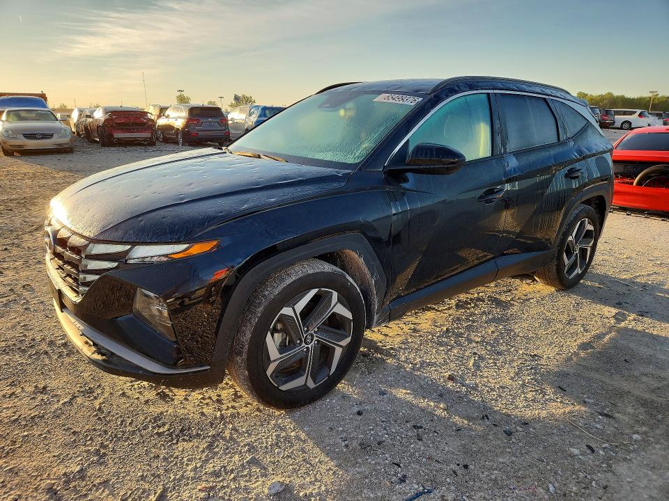 2024 Hyundai Tucson VIN 5NMJB3DE1RH423009 — COPART salvage auction photo