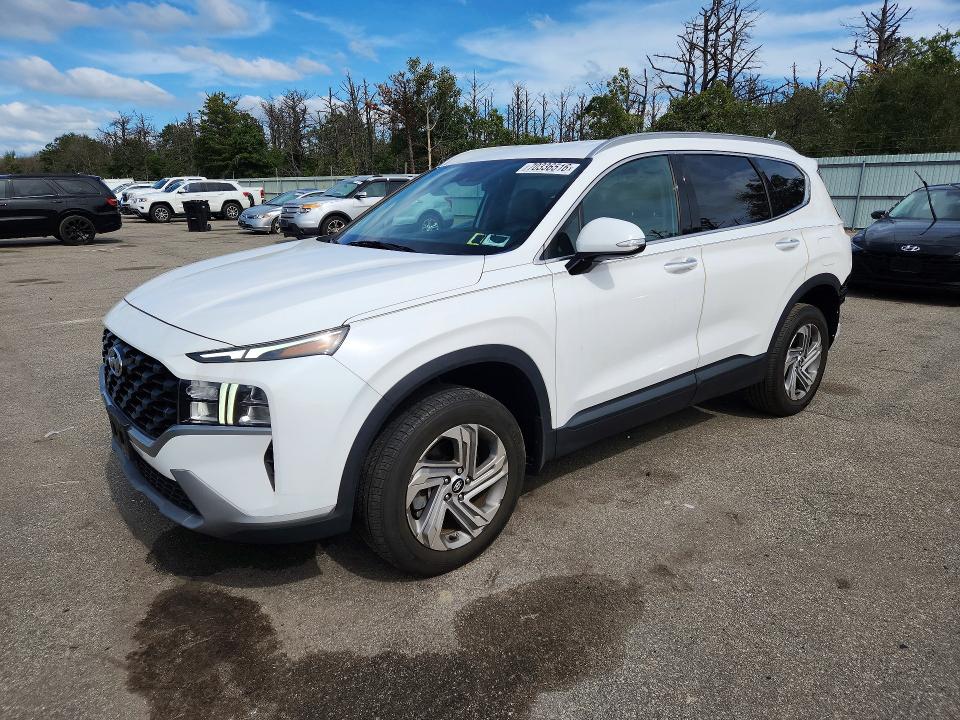 2023 Hyundai Santa fe VIN 5NMS2DAJ6PH553117 — COPART salvage auction photo