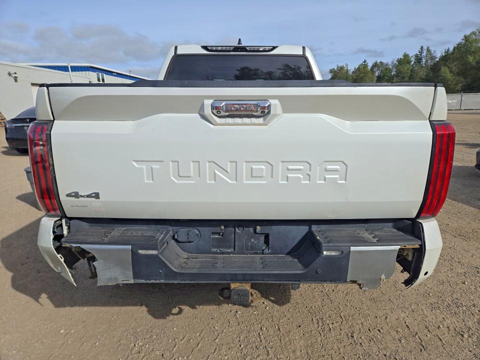 2022 Toyota Tundra VIN 5TFJC5DB0NX003502 COPART salvage auction — VANDALISM, On - Permit No Brand - Unfit, sold $35,500 on 2026-09-29 (photo 6)