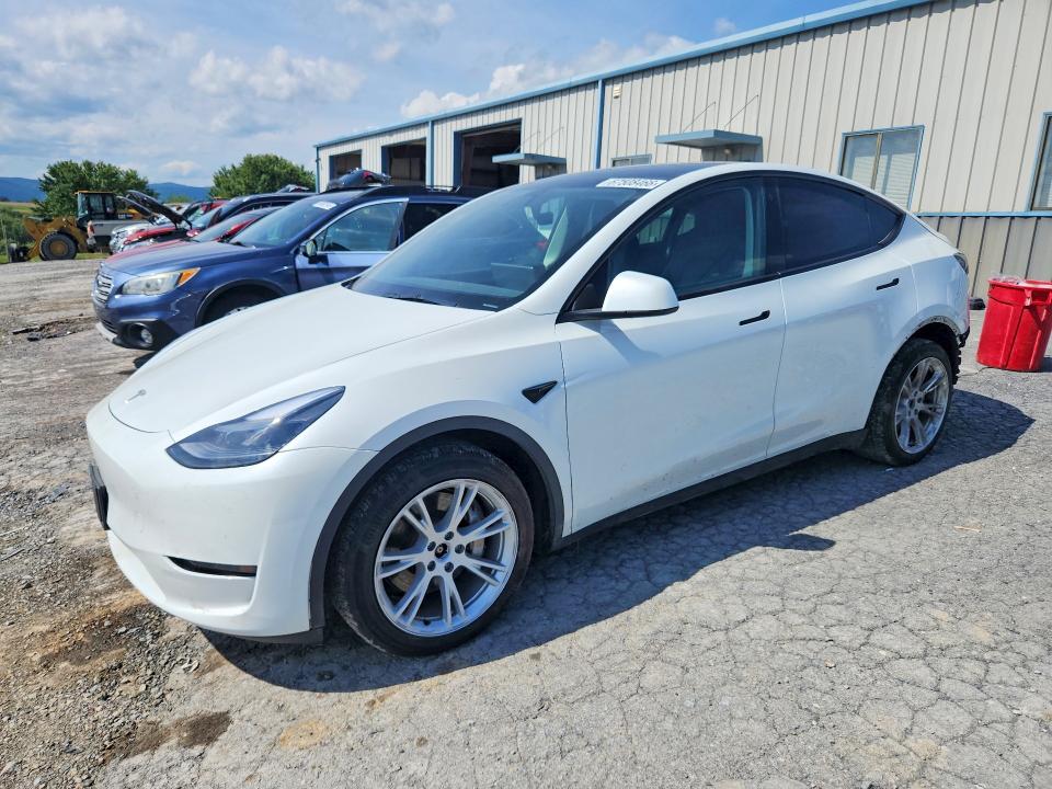 2023 Tesla Model y VIN 7SAYGDEE5PF701304 — COPART salvage auction photo