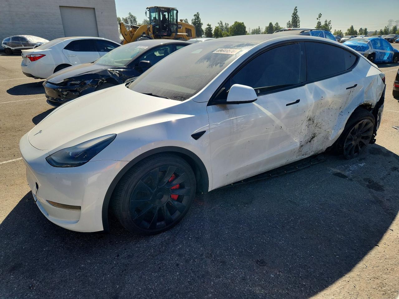 2024 Tesla Model Y VIN 7SAYGDED8RF008883 — COPART salvage auction photo