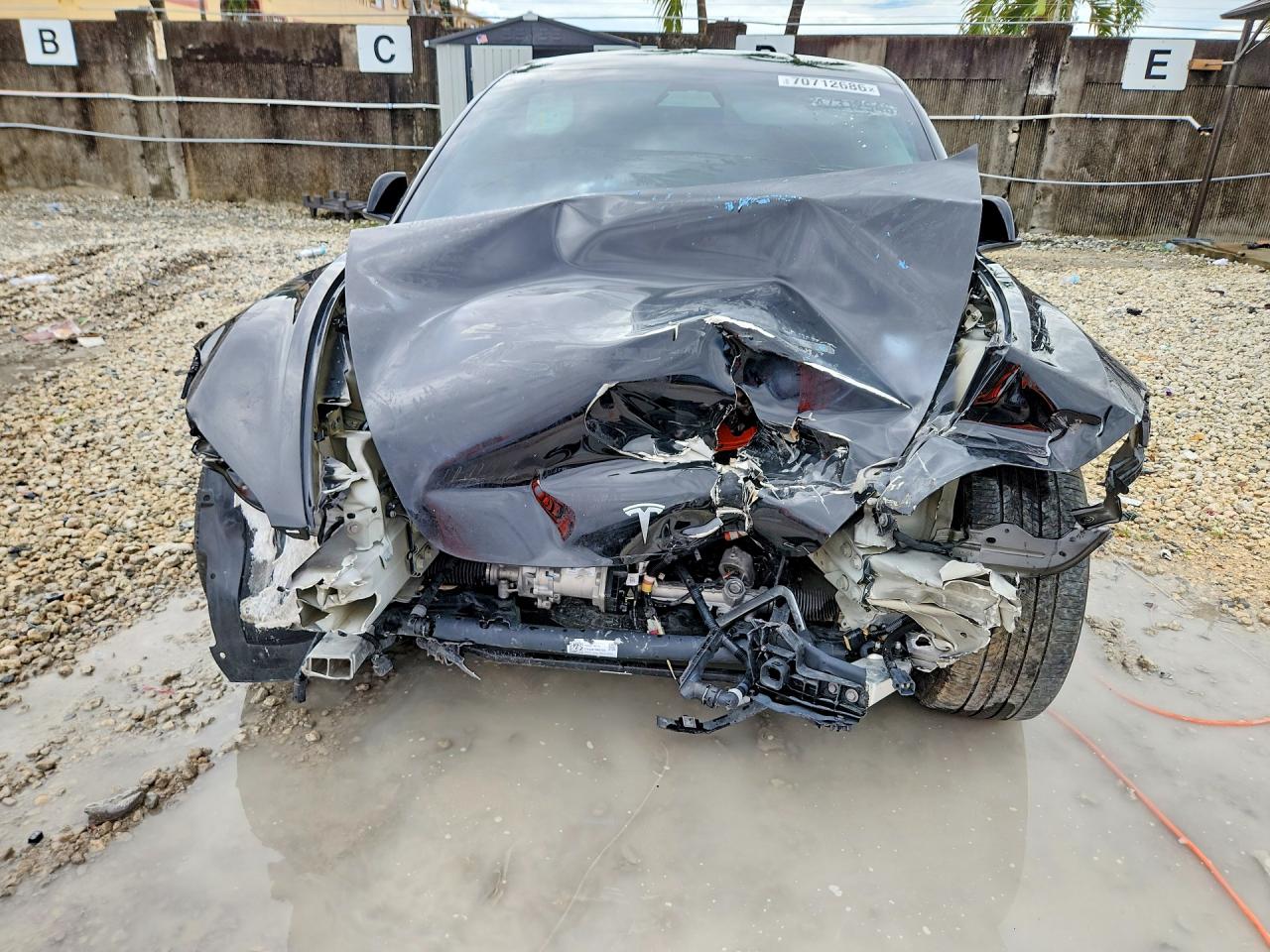 2025 Tesla Model 3 VIN 5YJ3E1EA0SF981117 COPART salvage auction — Front End, FL - CERT OF TITLE SLVG REBUILDABLE, sold $6,300 on 2026-10-09 (photo 5)