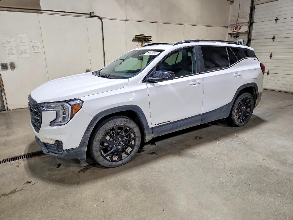 2024 Gmc Terrain VIN 3GKALTEGXRL382481 — COPART salvage auction photo