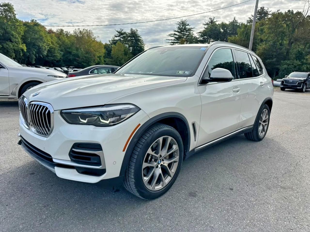 2023 BMW X5 VIN 5UXCR6C01P9R97225 — COPART salvage auction photo