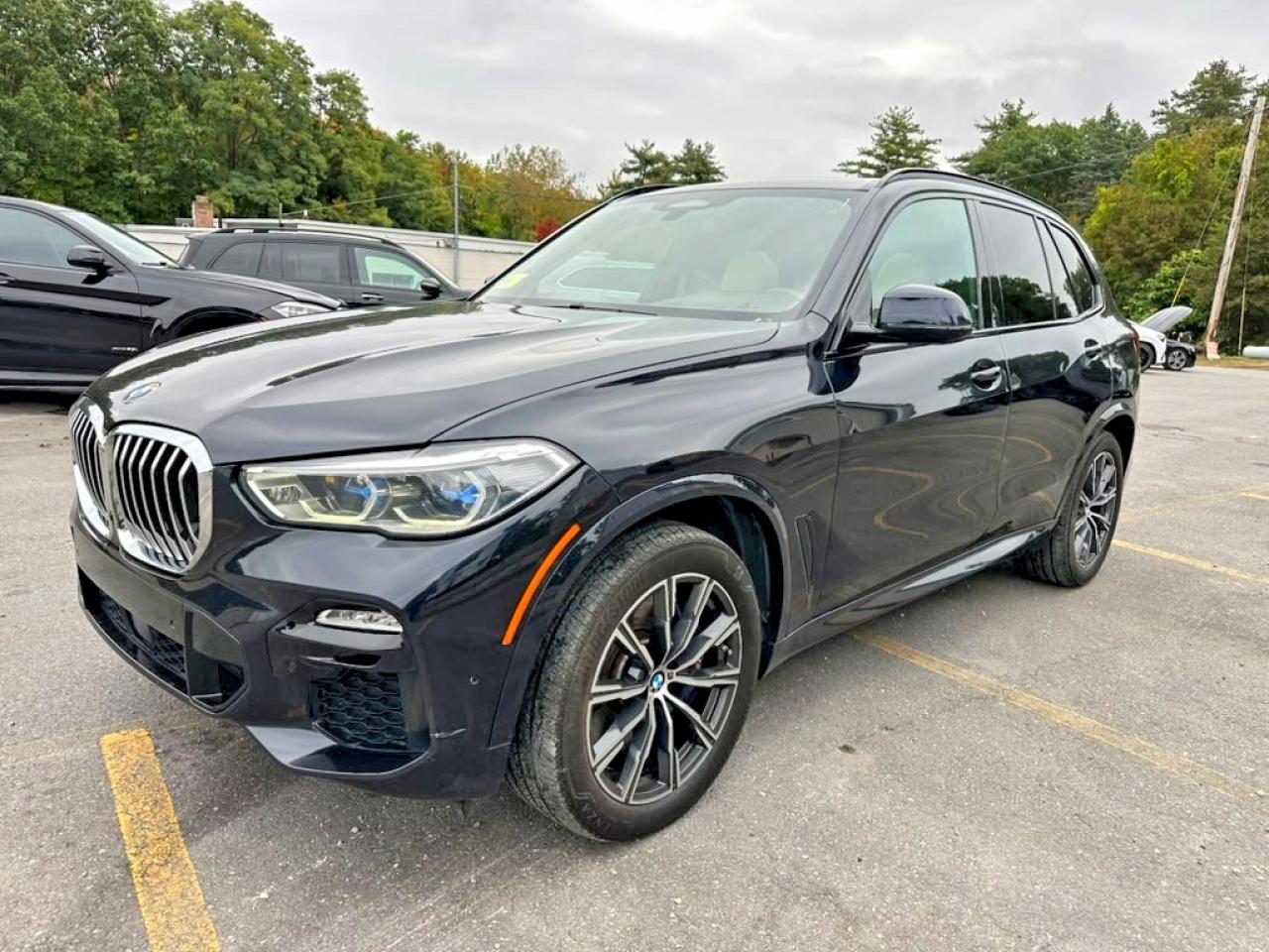 2019 BMW X5 VIN 5UXJU2C53KLN64205 — COPART salvage auction photo