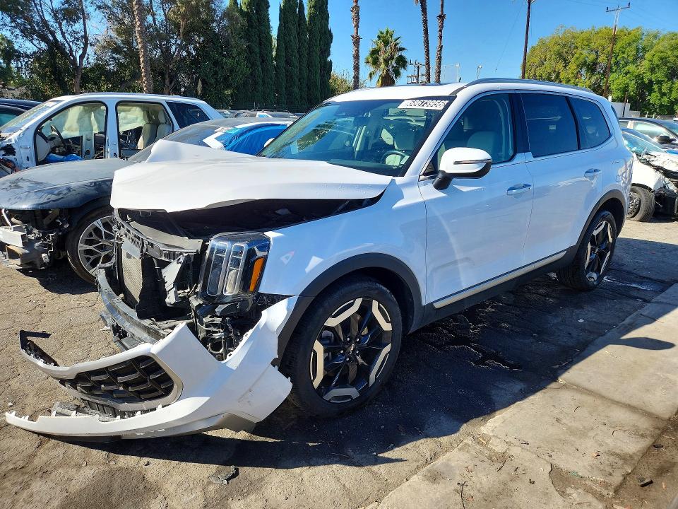 2025 Kia Telluride VIN 5XYP6DGC5SG685324 — COPART salvage auction photo