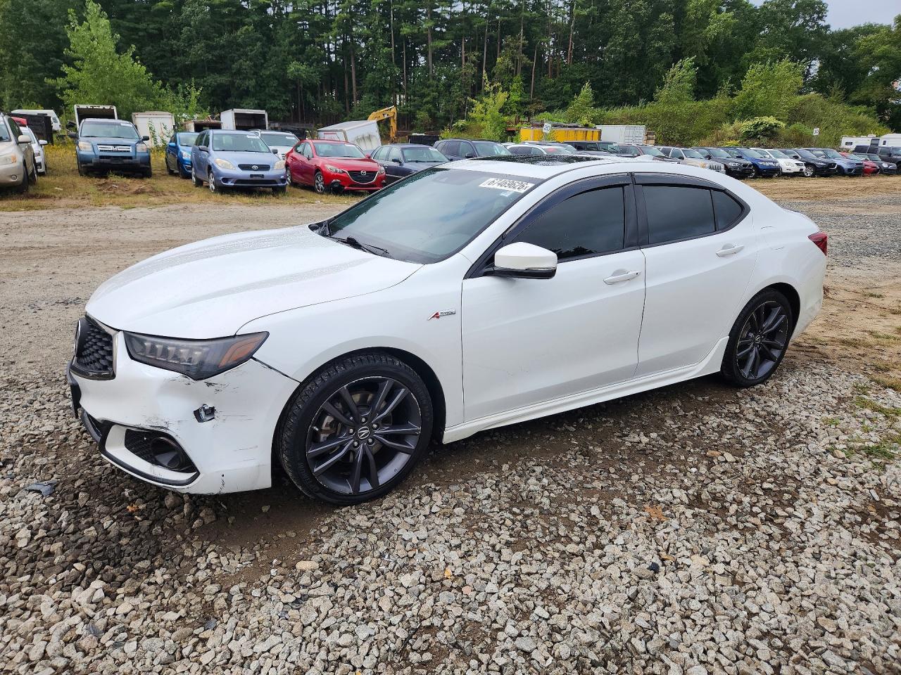 2019 Acura TLX VIN 19UUB3F61KA000662 — COPART salvage auction photo