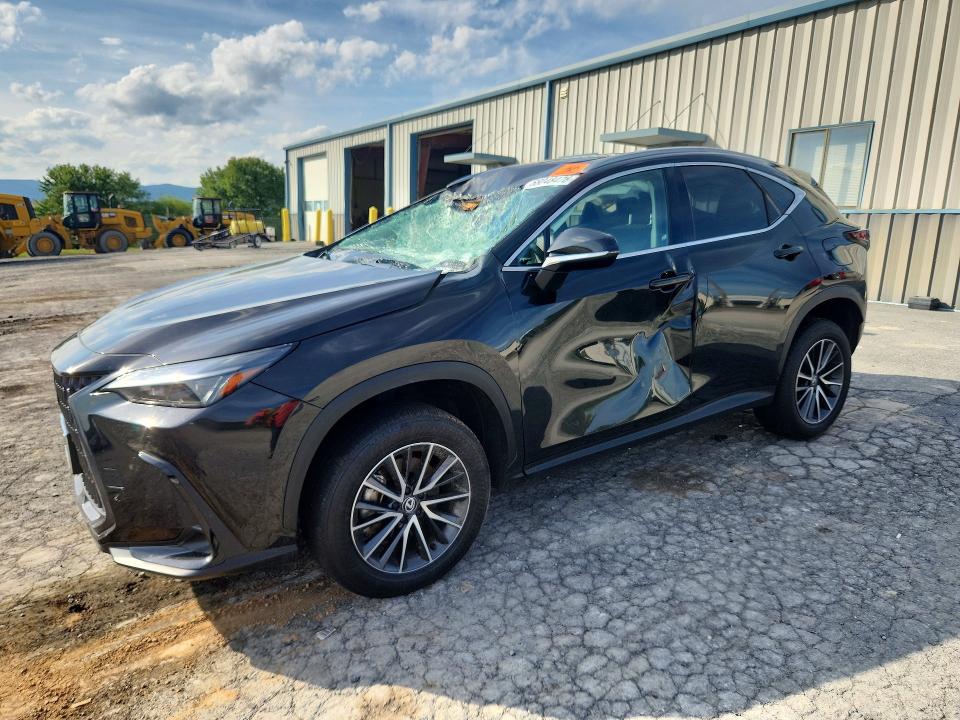 2024 Lexus Nx VIN 2T2GGCEZ4RC043239 — COPART salvage auction photo
