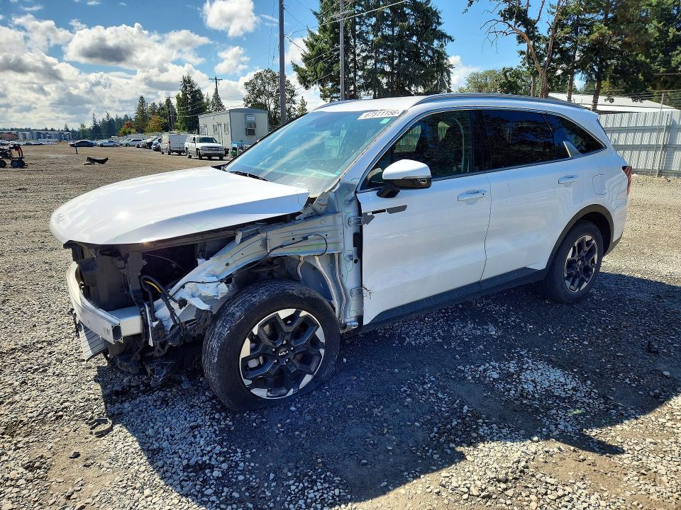 2024 Kia Sorento VIN 5XYRLDJC7RG293322 — COPART salvage auction photo