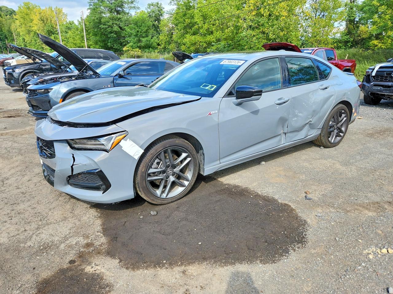 2024 Acura TLX VIN 19UUB6F58RA001522 — COPART salvage auction photo
