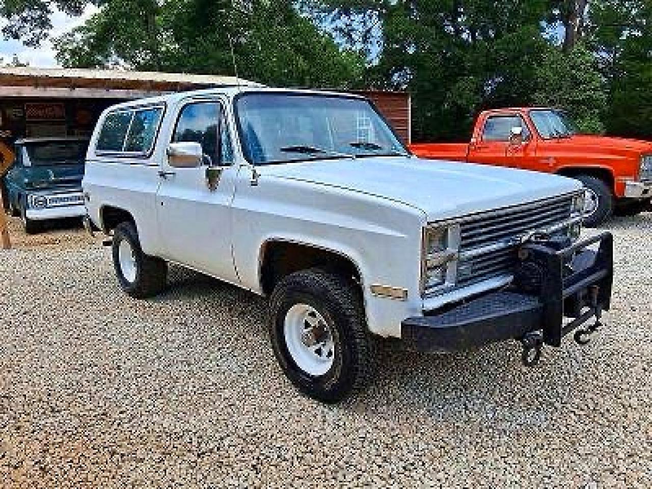 1983 Chevrolet Blazer VIN 1G8EK18L4DF113581 — COPART salvage auction photo