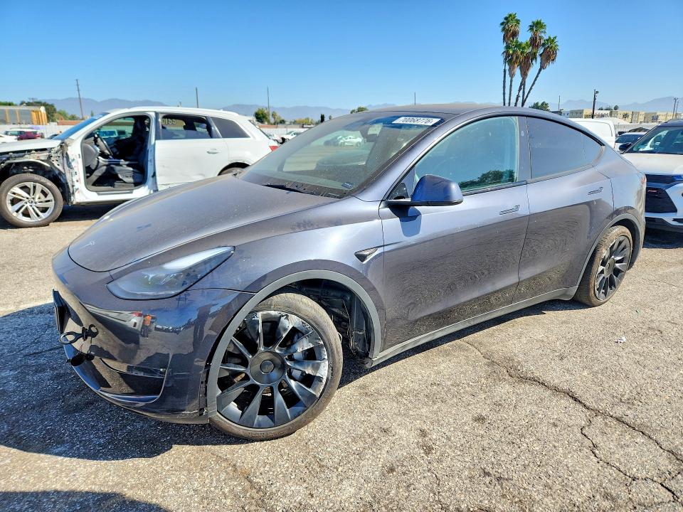 2024 Tesla Model y VIN 7SAYGDEE3RA238840 — COPART salvage auction photo