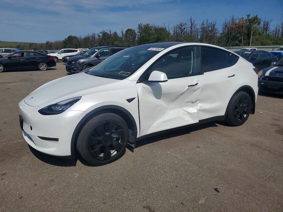 2023 Tesla Model y VIN 7SAYGDEE6PA150099 — COPART salvage auction photo