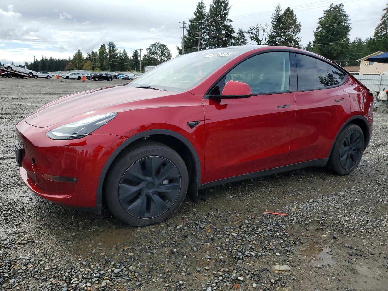 2025 Tesla Model Y VIN 7SAYGAEE1SF254462 — COPART salvage auction photo