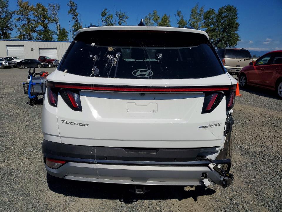 2025 Hyundai Tucson VIN KM8JEDD10SU296242 COPART salvage auction — REAR END, Salvage Title, sold $14,600 on 2026-09-14 (photo 6)
