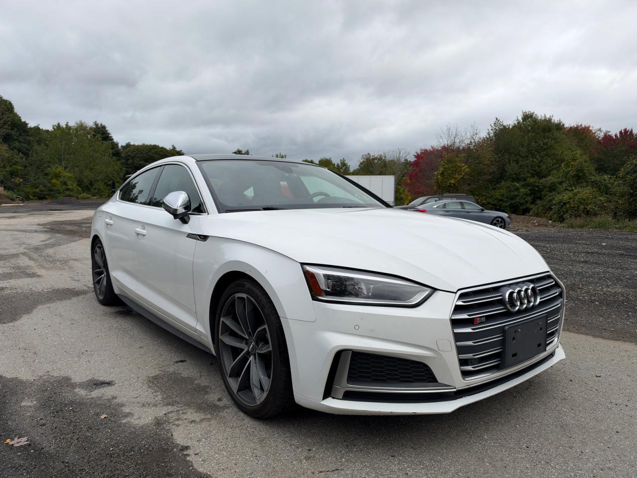 2018 Audi S5 VIN WAUB4CF5XJA080658 — COPART salvage auction photo