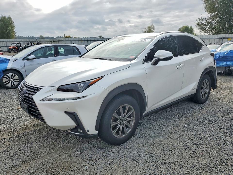 2019 Lexus Nx 300h VIN JTJBJRBZ6K2109606 — COPART salvage auction photo