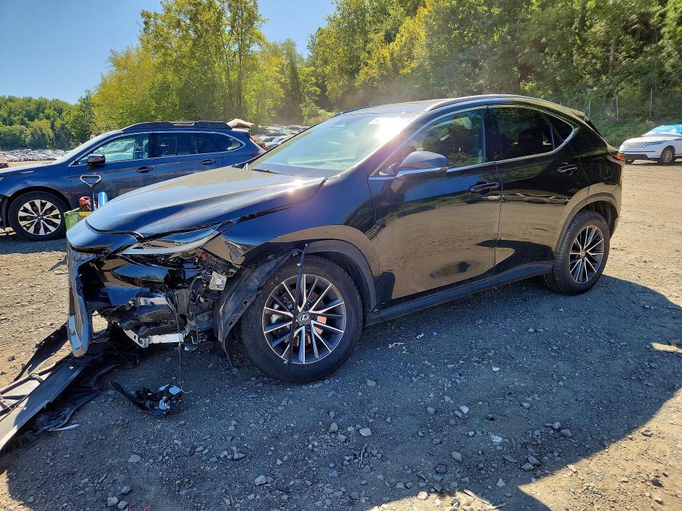 2024 Lexus Nx VIN 2T2GGCEZ2RC041781 — COPART salvage auction photo
