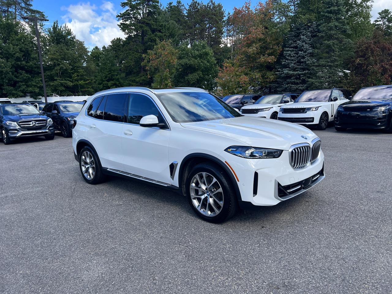 2025 BMW X5 VIN 5UX43EU06S9X96279 — COPART salvage auction photo