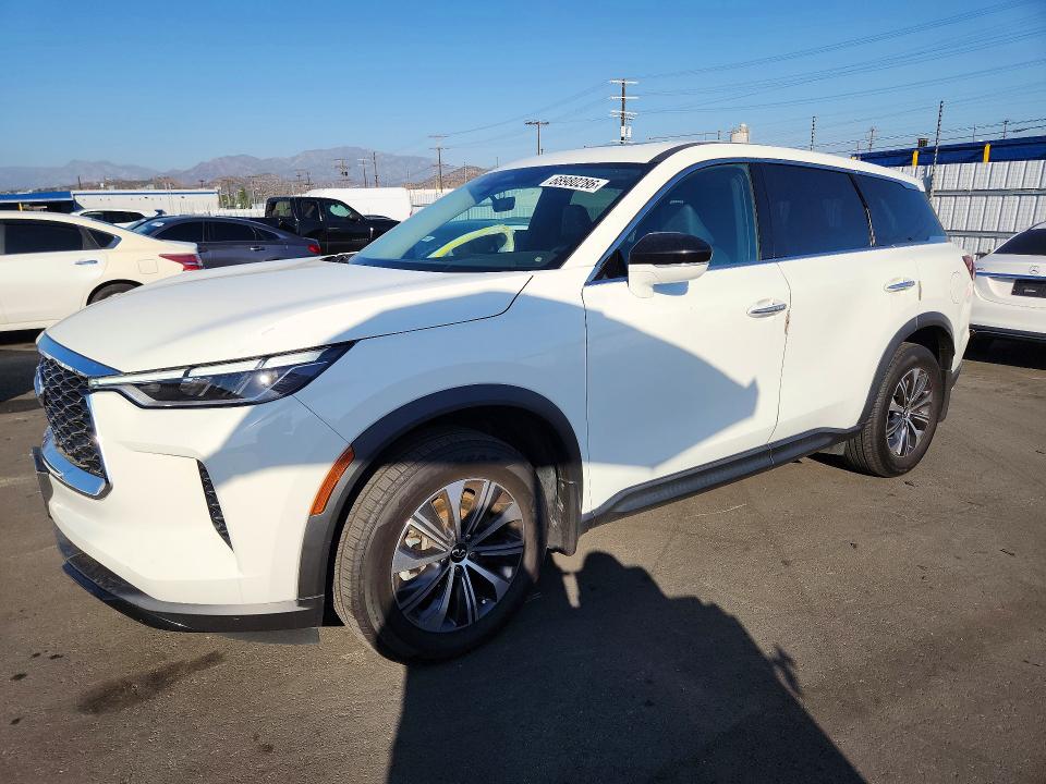 2024 Infiniti Qx60 VIN 5N1DL1ER3RC344208 — COPART salvage auction photo