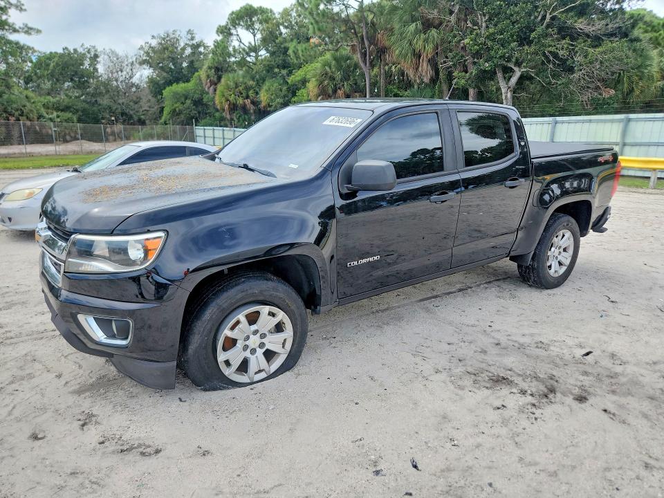 2019 Chevrolet S-10 pickup VIN 1GCGTBEN3L1176917 — COPART salvage auction photo