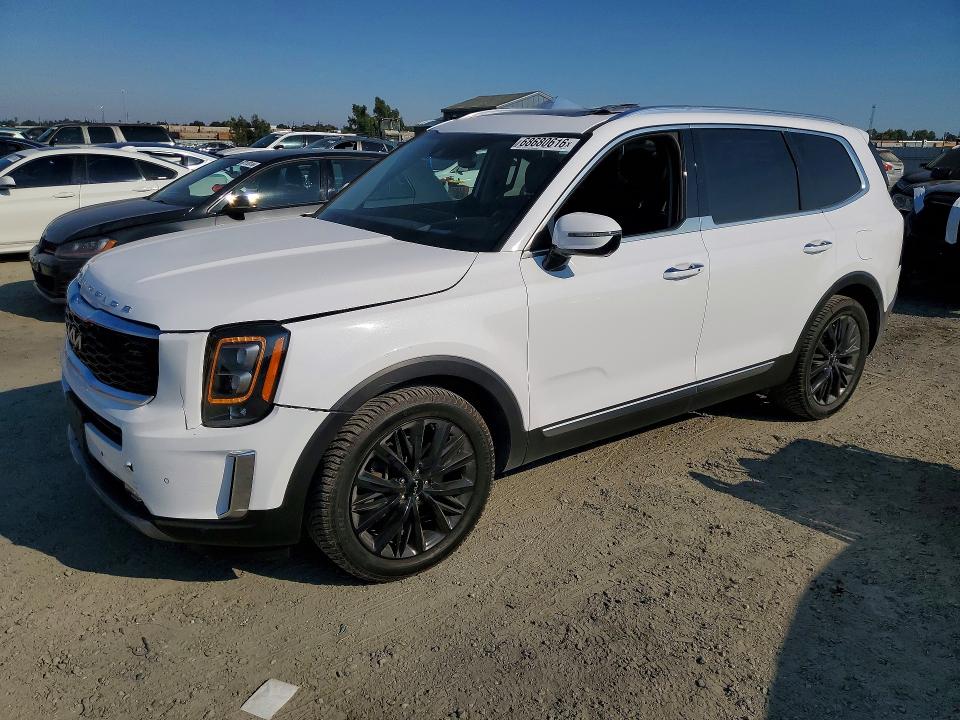 2022 Kia Telluride VIN 5XYP5DHC5NG198954 — COPART salvage auction photo