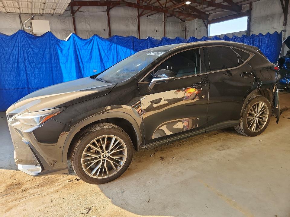 2024 Lexus Nx 350h VIN 2T2HKCEZ9RC027282 — COPART salvage auction photo