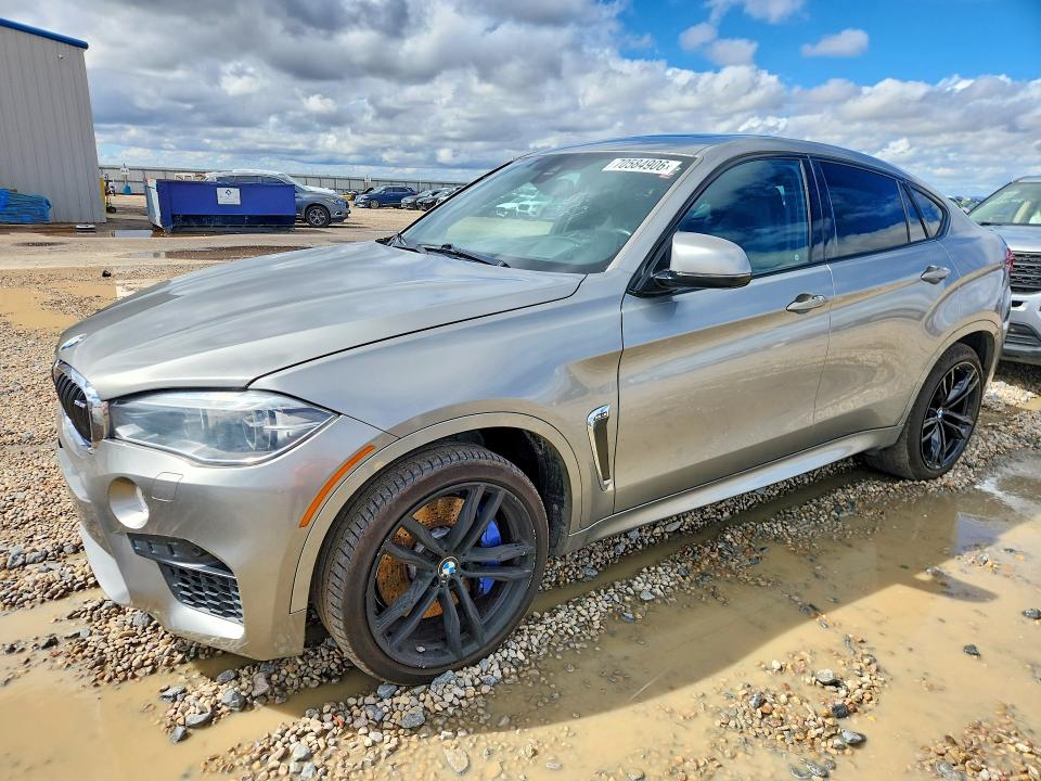 2016 BMW X6 VIN 5YMKW8C57G0R43842 — COPART salvage auction photo