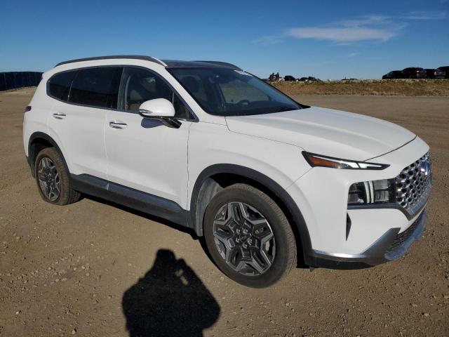 2021 Hyundai Santa fe VIN KM8S5DA13MU003770 COPART salvage auction — SIDE, Ab - Bos - Salvage, sold $3,100 on 2026-07-21 (photo 4)