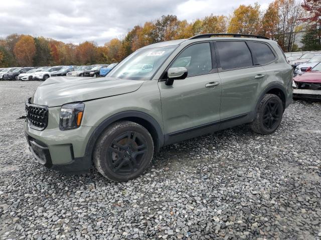 2024 Kia Telluride VIN 5XYP5DGC6RG542301 — COPART salvage auction photo