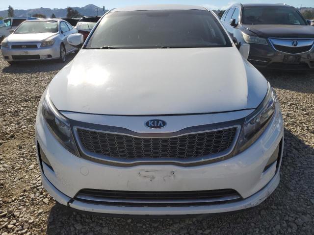 2016 Kia Optima VIN KNAGM4AD8G5096823 COPART salvage auction — SIDE, Id - Salvage Certificate Of Title, sold $275 on 2026-07-21 (photo 5)